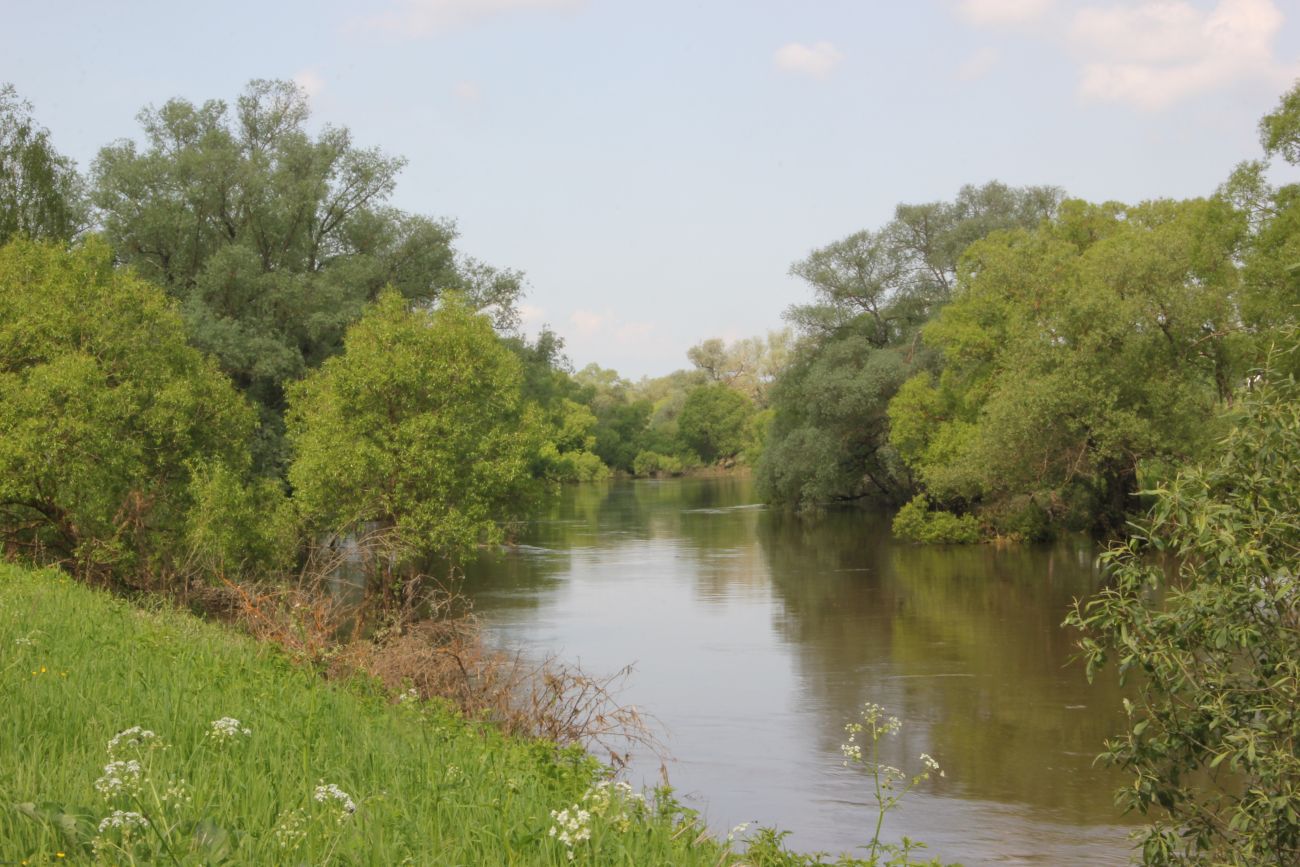 Окрестности деревни Сатино, image of landscape/habitat.