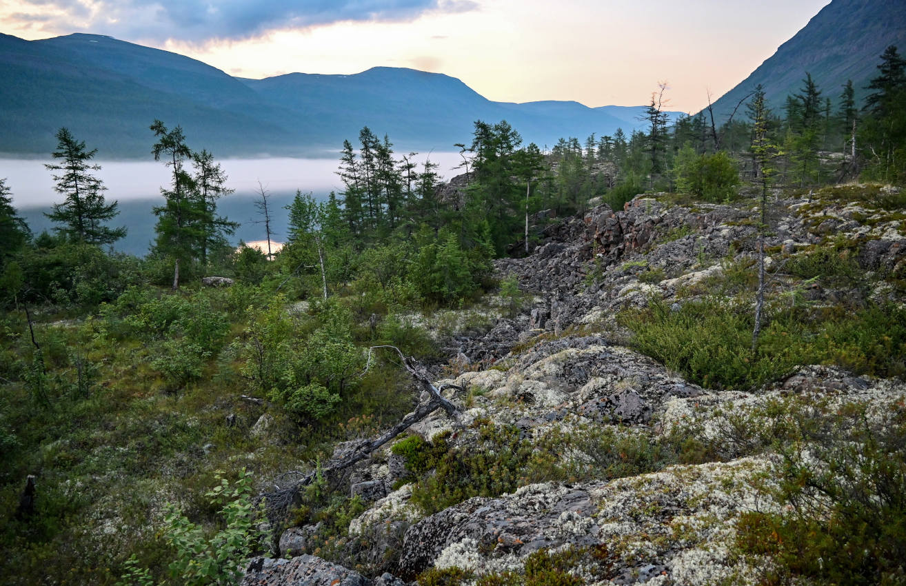 Долина реки Иркингда, image of landscape/habitat.