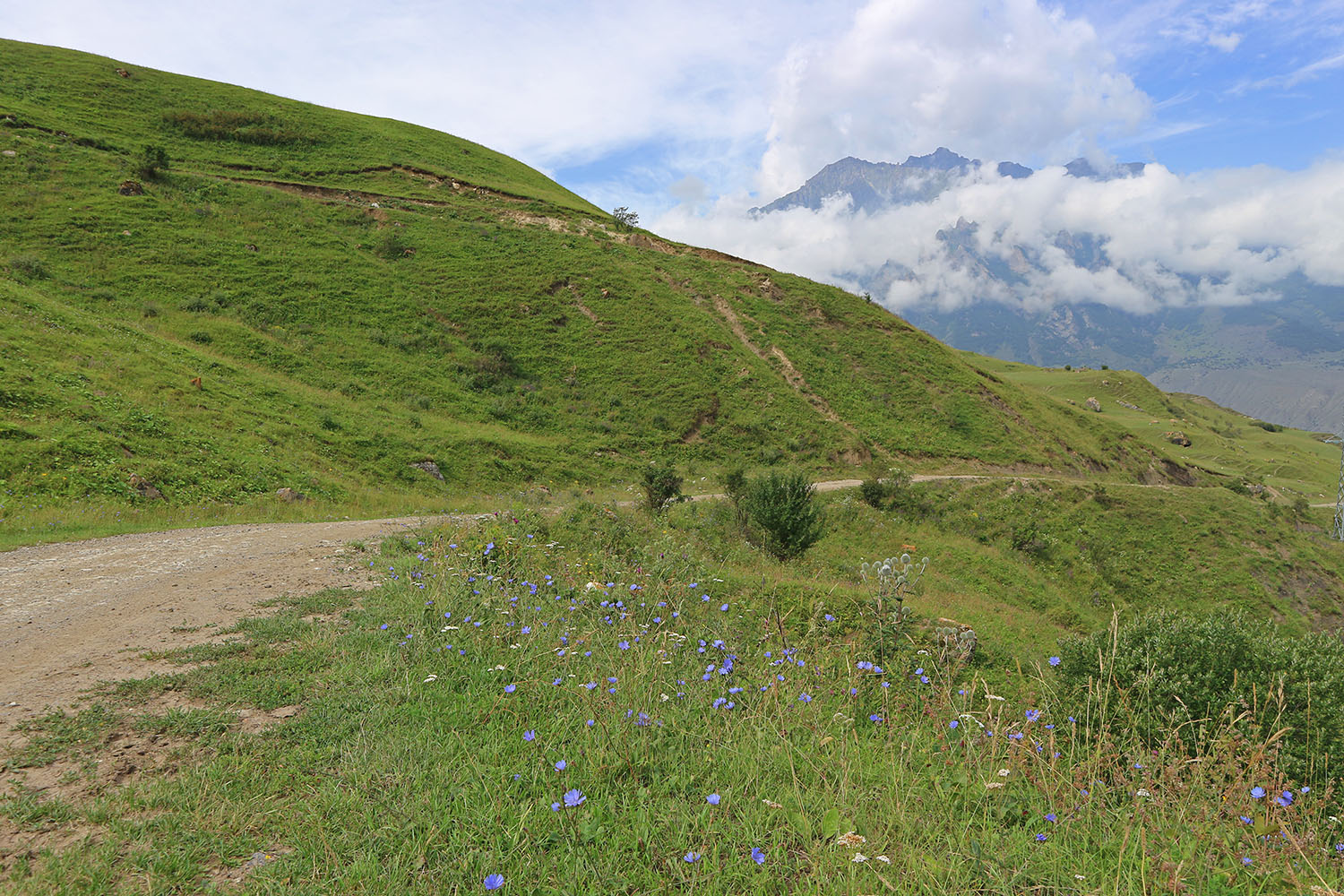 Хашхасу, image of landscape/habitat.