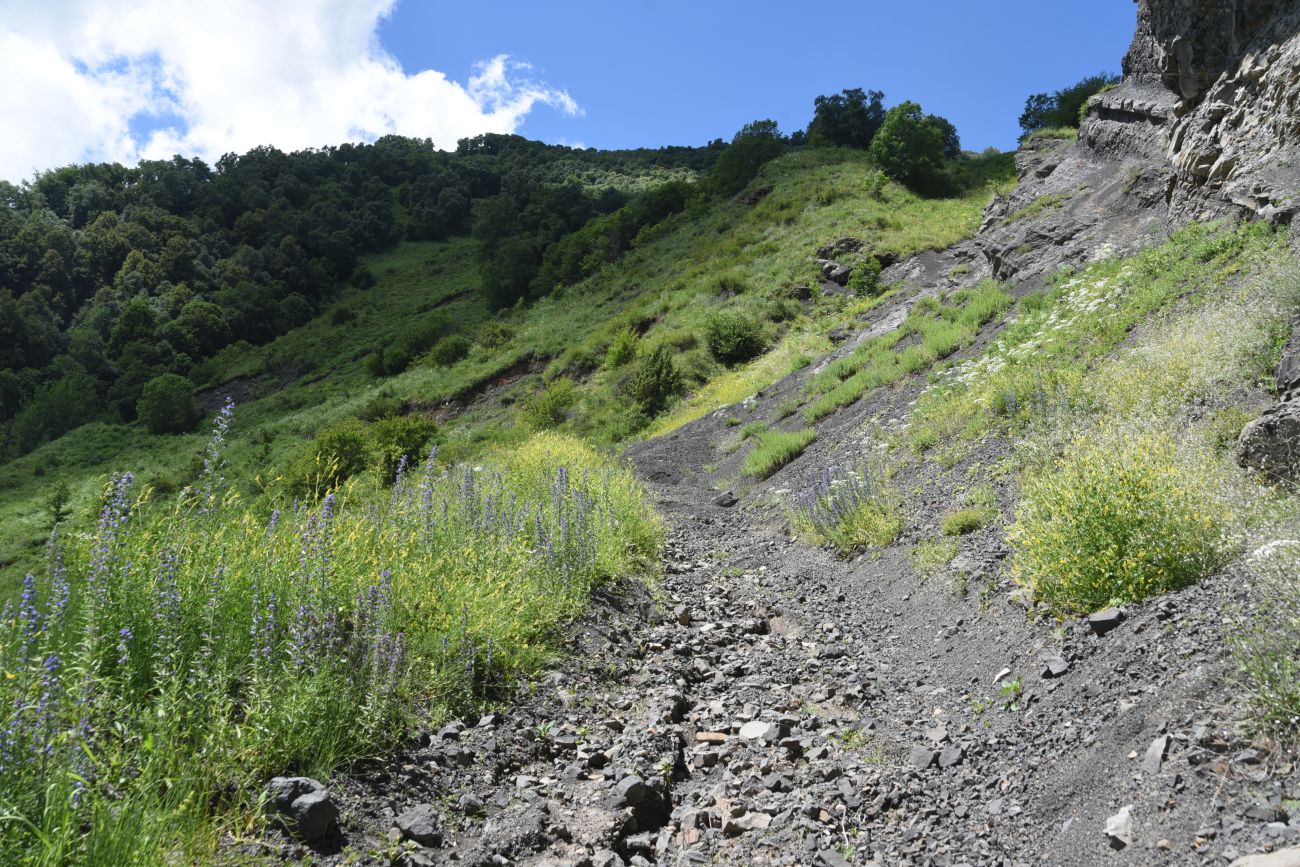 Окрестности водопада Цеси, image of landscape/habitat.