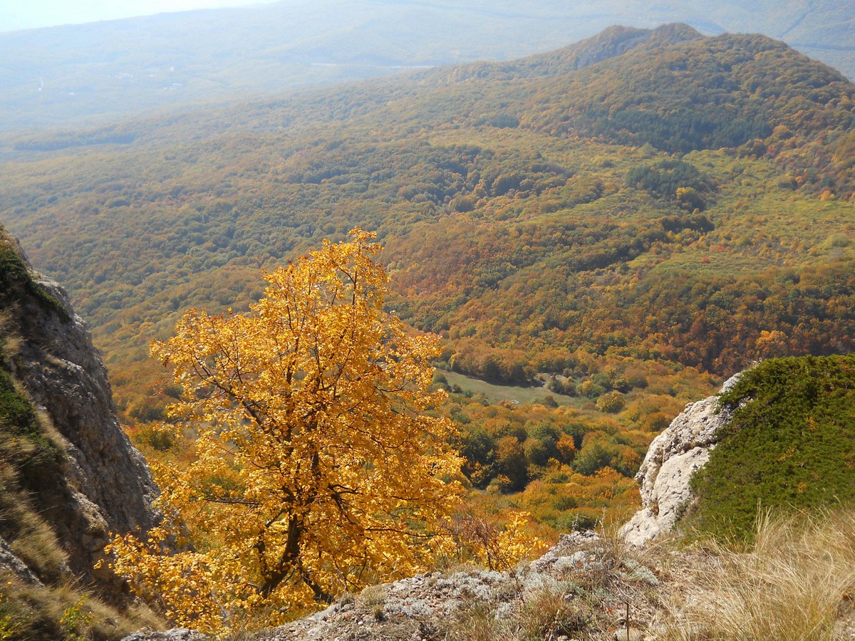 Северная Демерджи, изображение ландшафта.