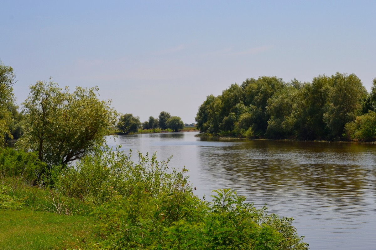 Река Васильевская Астраханской области: особенности, ловля, лучшие места