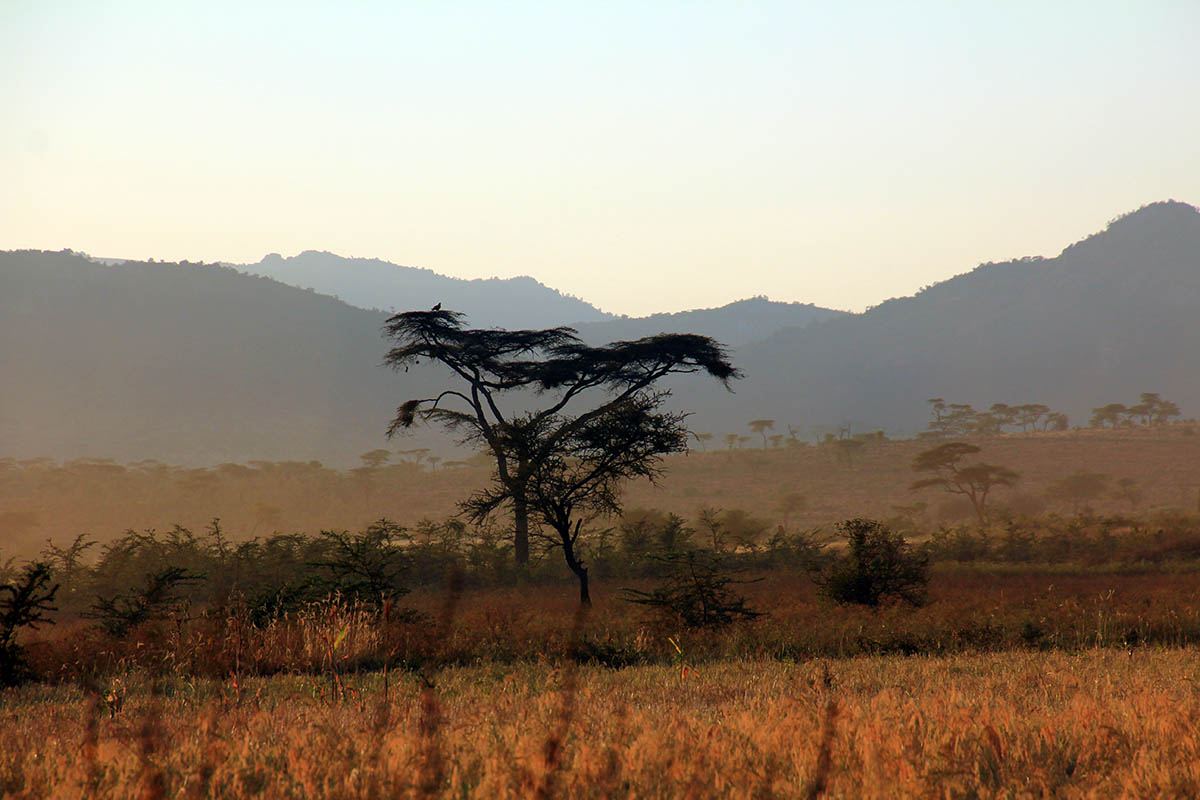 Ябело, image of landscape/habitat.