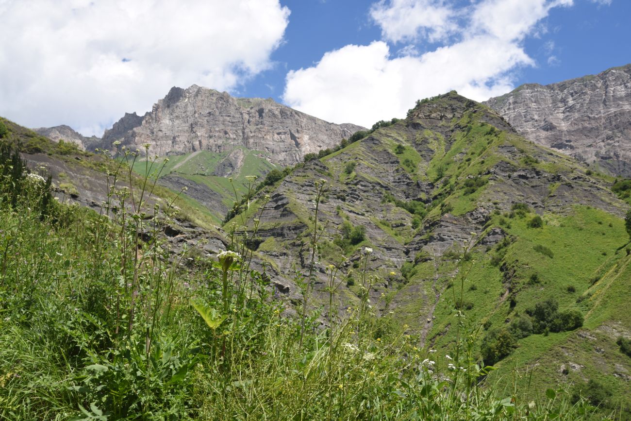 Окрестности водопада Цеси, image of landscape/habitat.