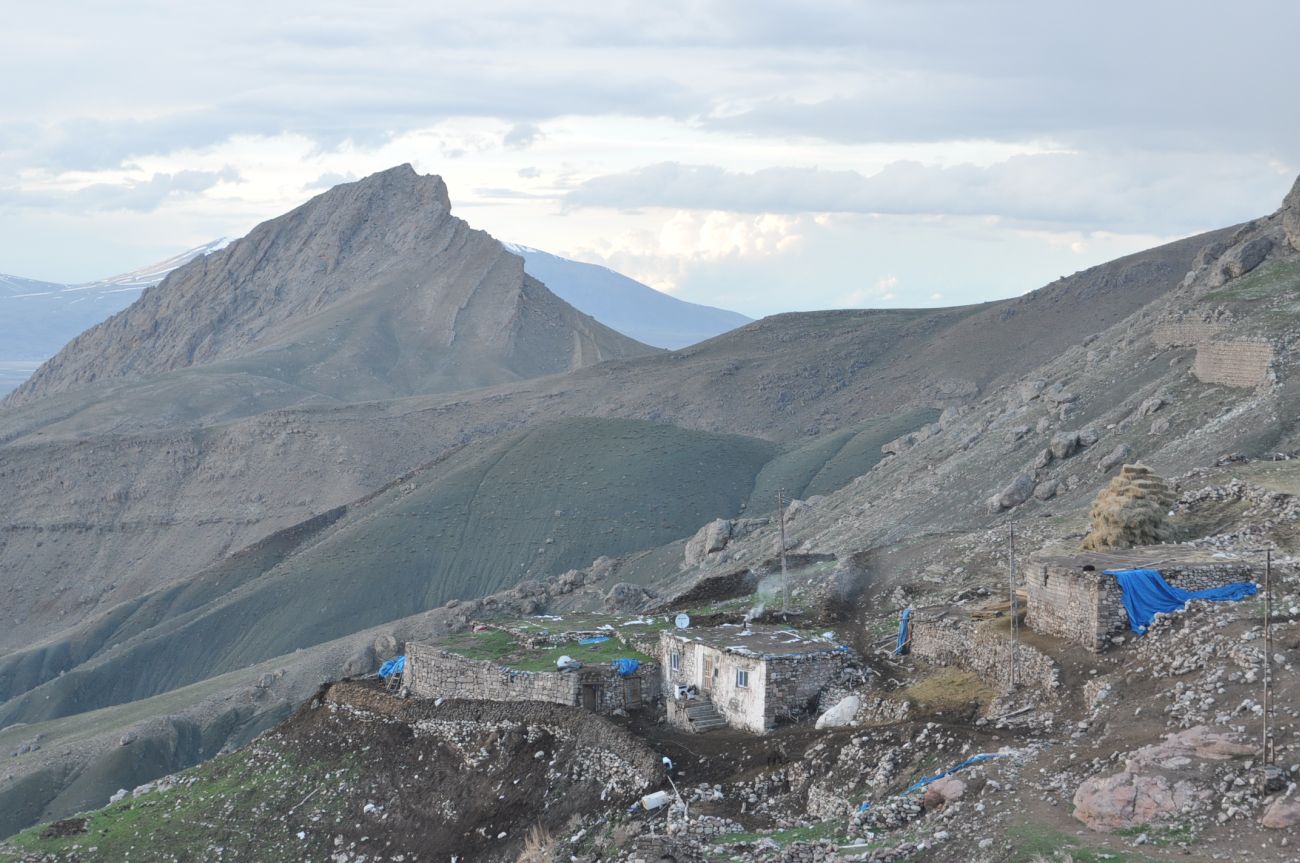 Старая мечеть Баязит, image of landscape/habitat.