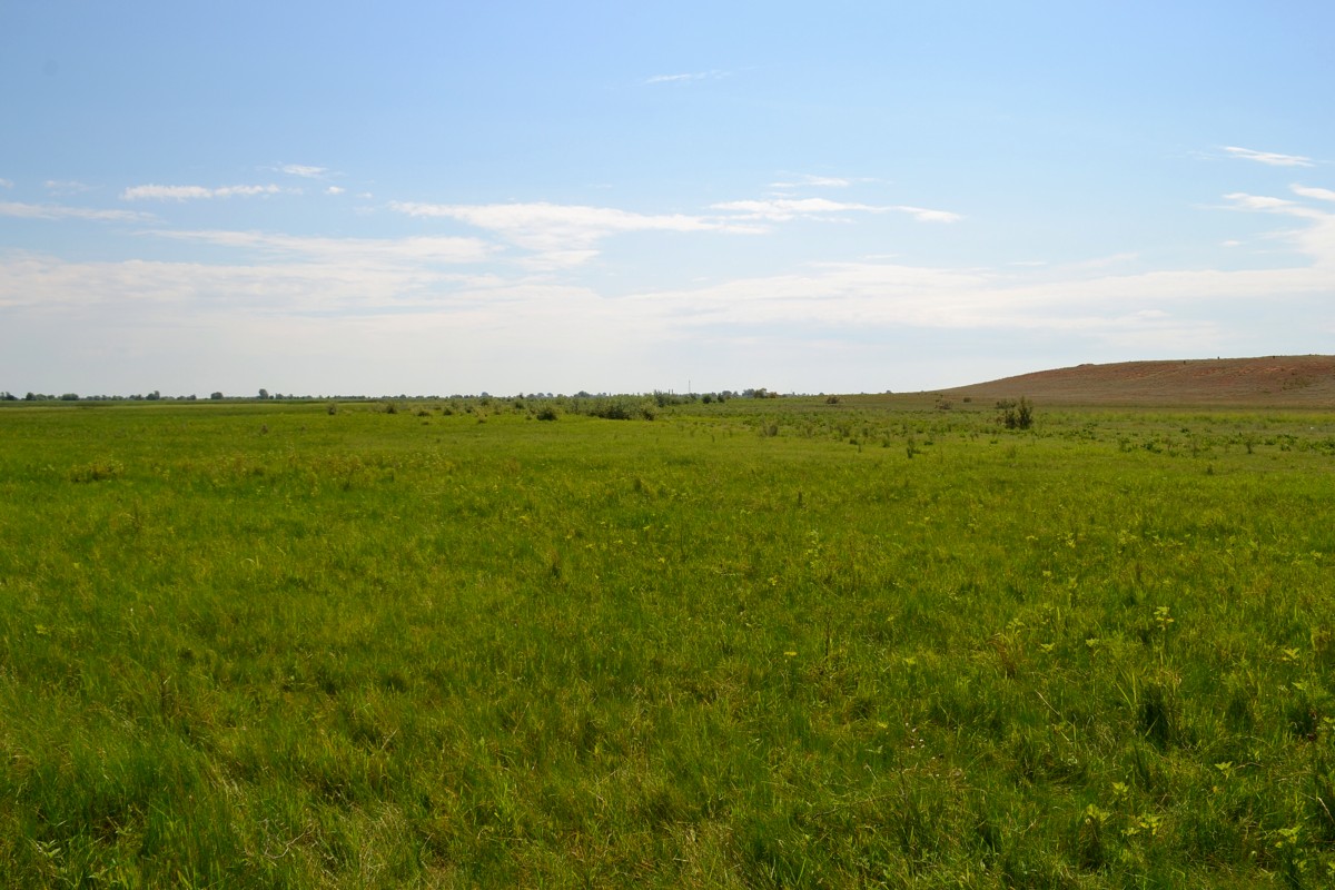 Ямное, image of landscape/habitat.