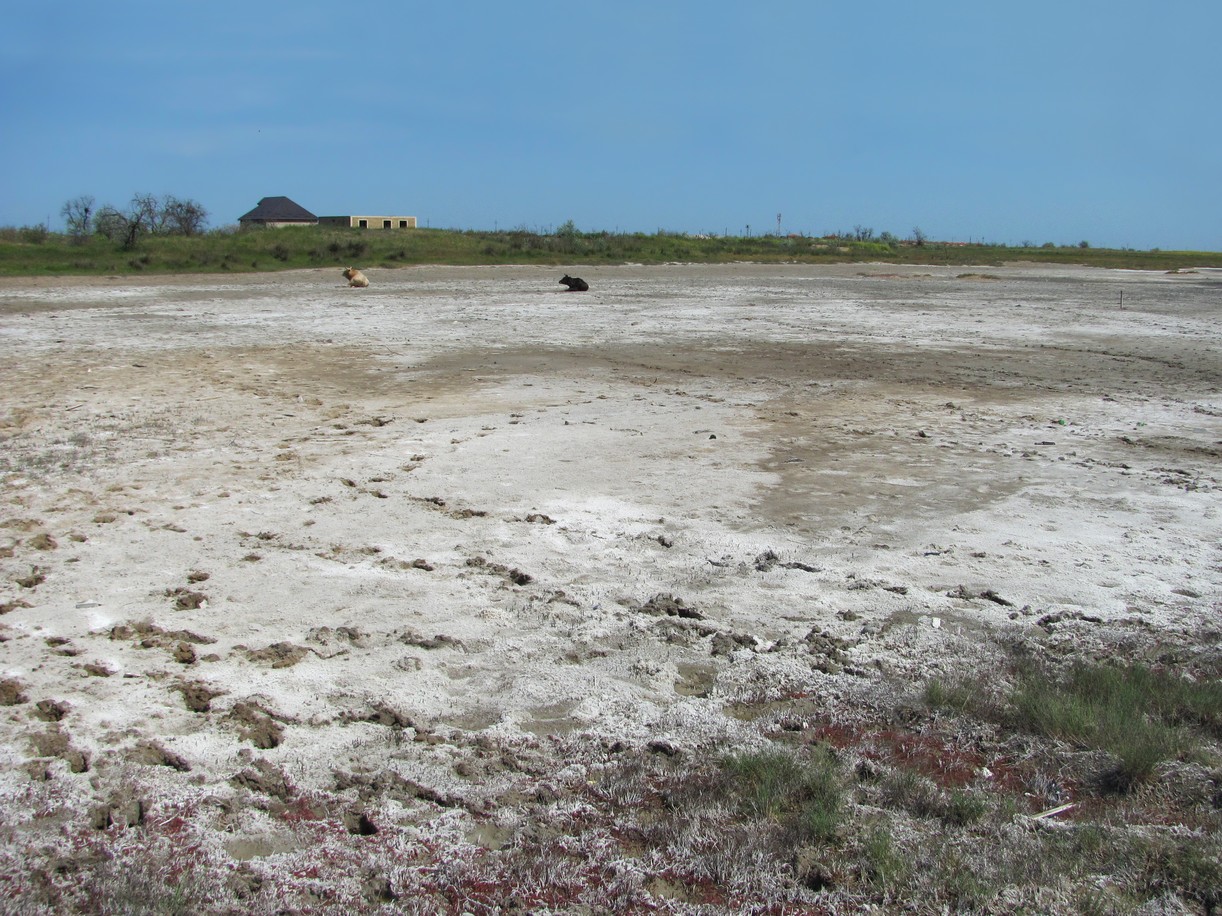 Избербаш, image of landscape/habitat.