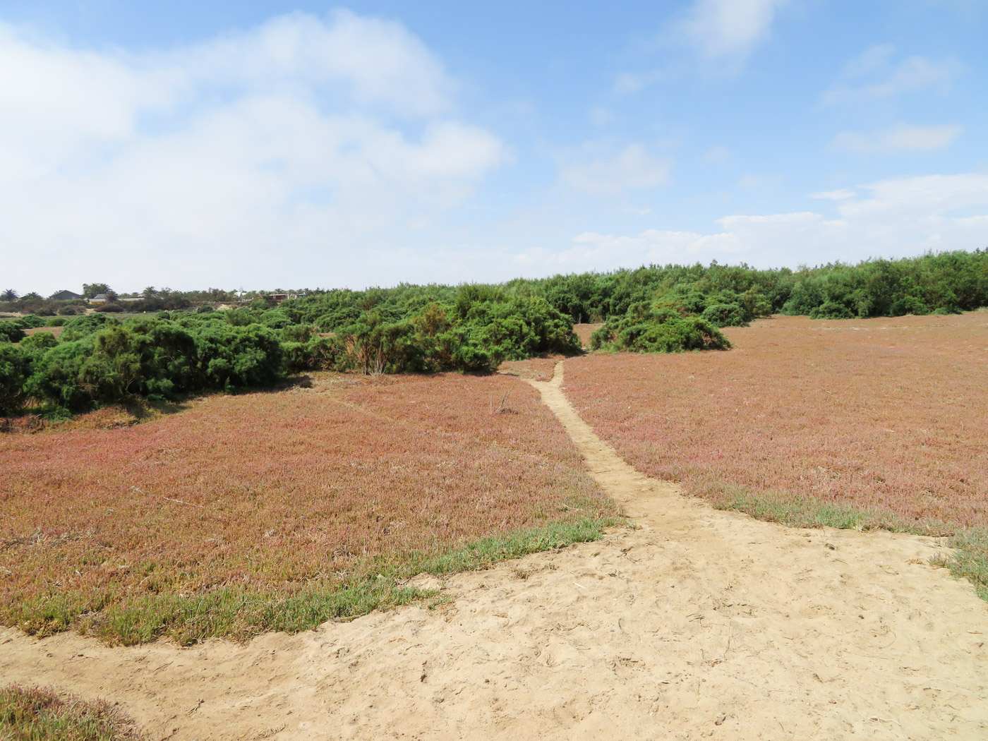 Свакомпунд и окрестности, image of landscape/habitat.