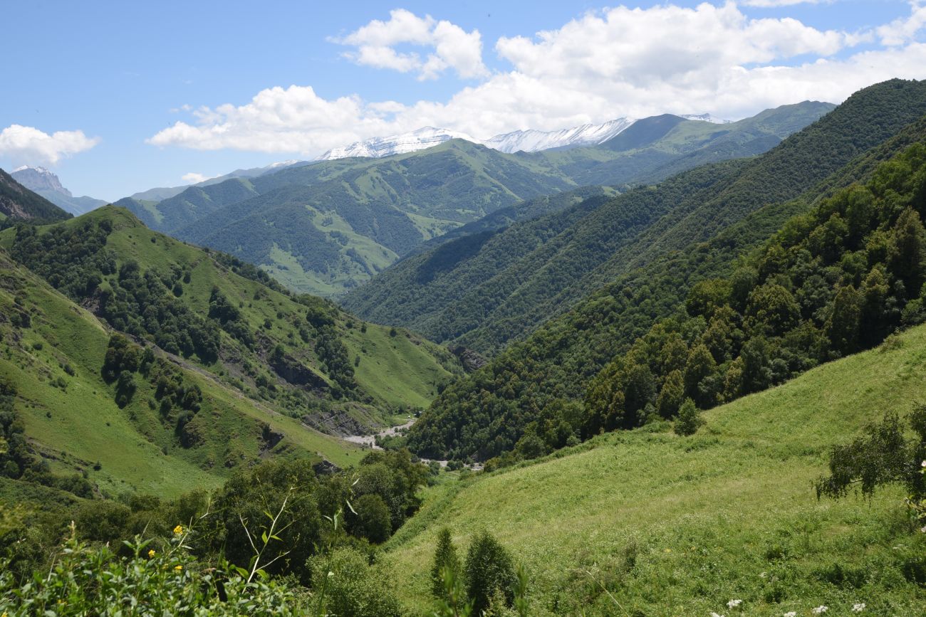 Окрестности водопада Цеси, изображение ландшафта.