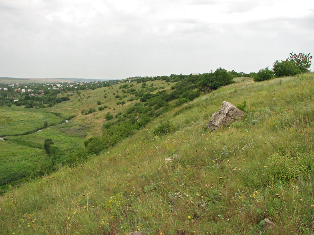 Берестовая, image of landscape/habitat.