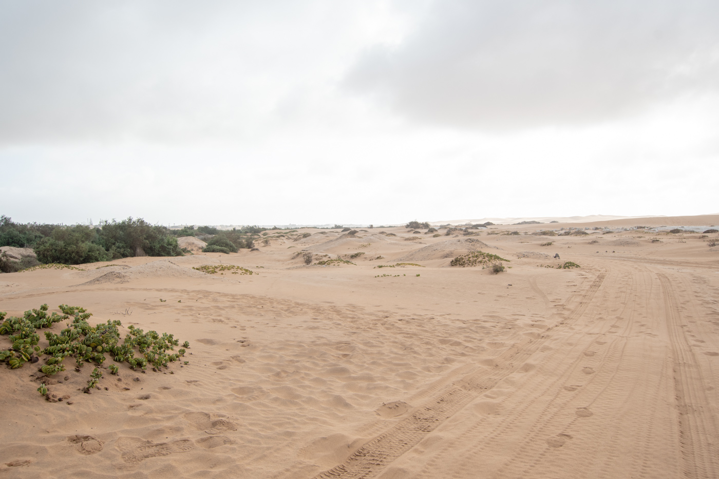 Свакомпунд и окрестности, image of landscape/habitat.