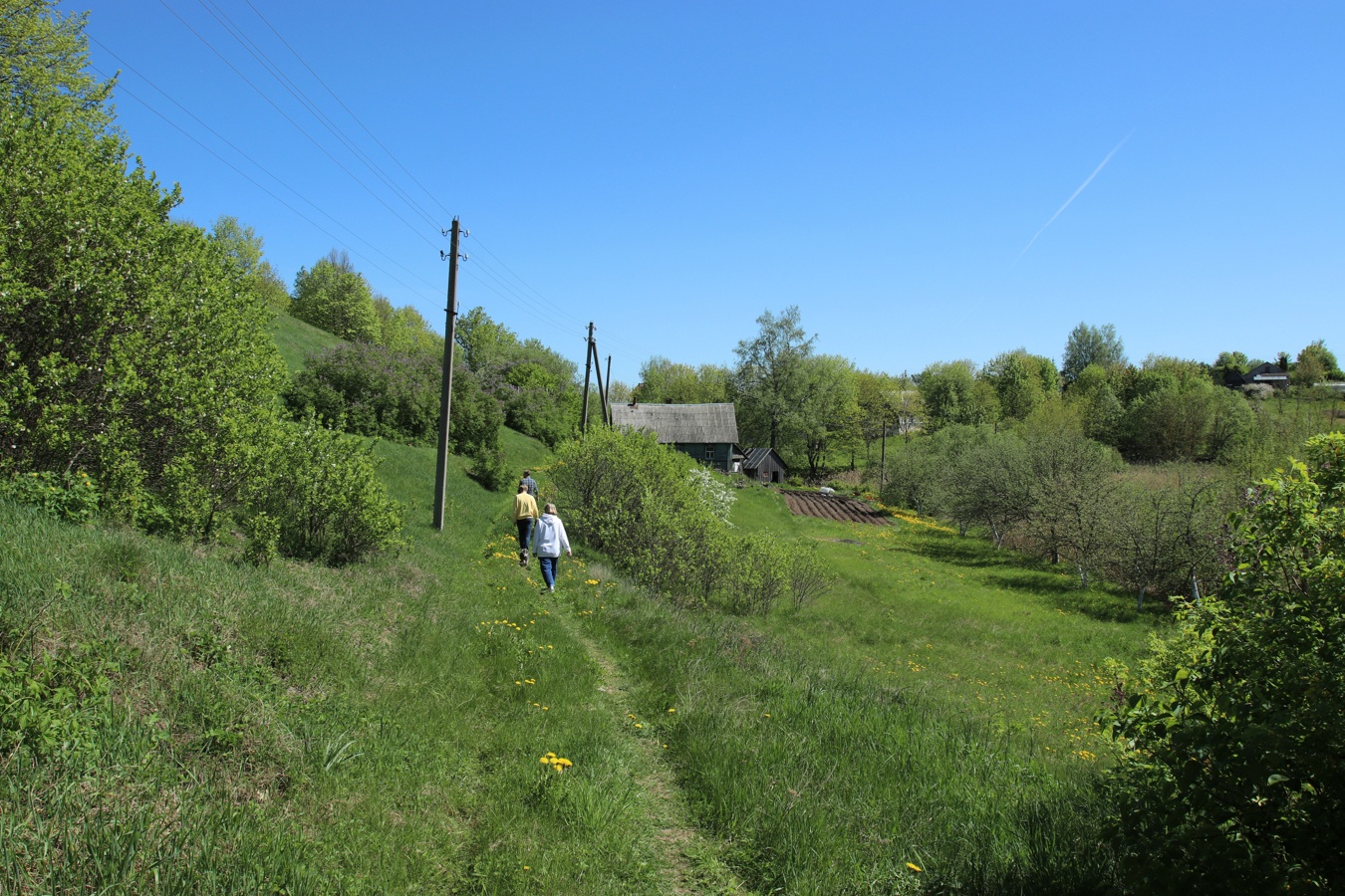 Камень, image of landscape/habitat.