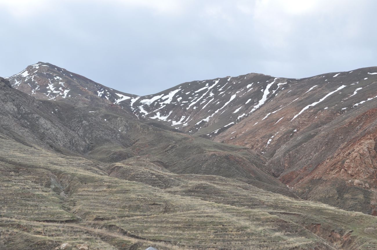 Старая мечеть Баязит, image of landscape/habitat.