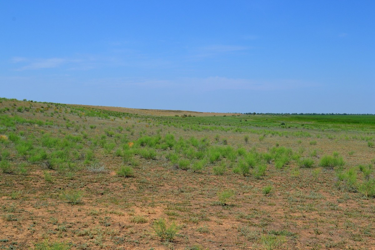 Ямное, image of landscape/habitat.