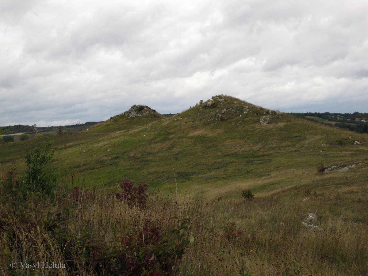 Четыре кавалера, image of landscape/habitat.