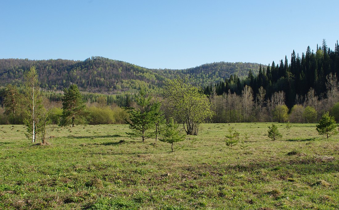 Сим, image of landscape/habitat.