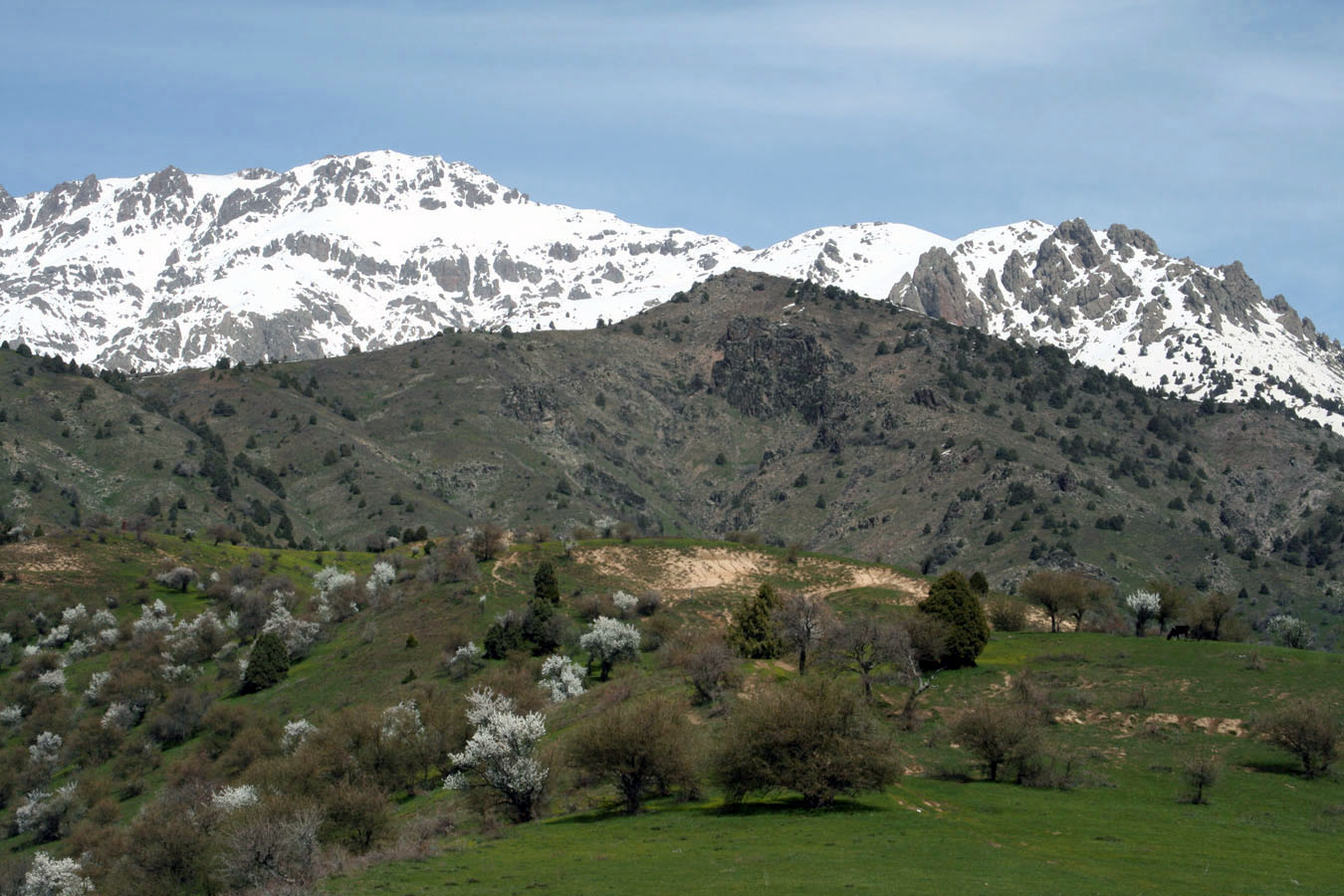 Хребет Каржантау, image of landscape/habitat.