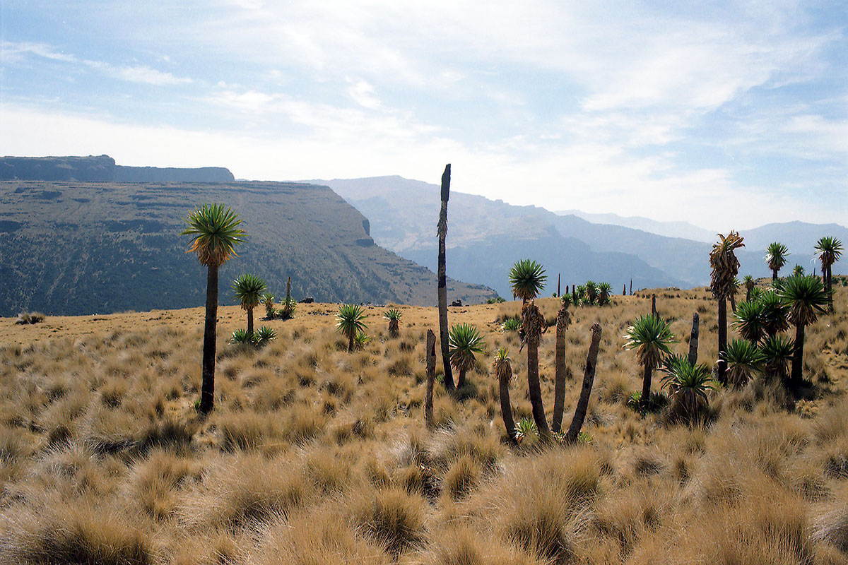 Горы Сымен, image of landscape/habitat.