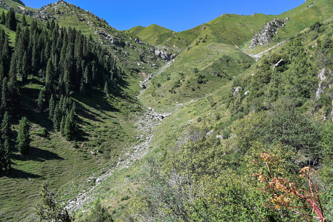 Перевал Кутурма, image of landscape/habitat.