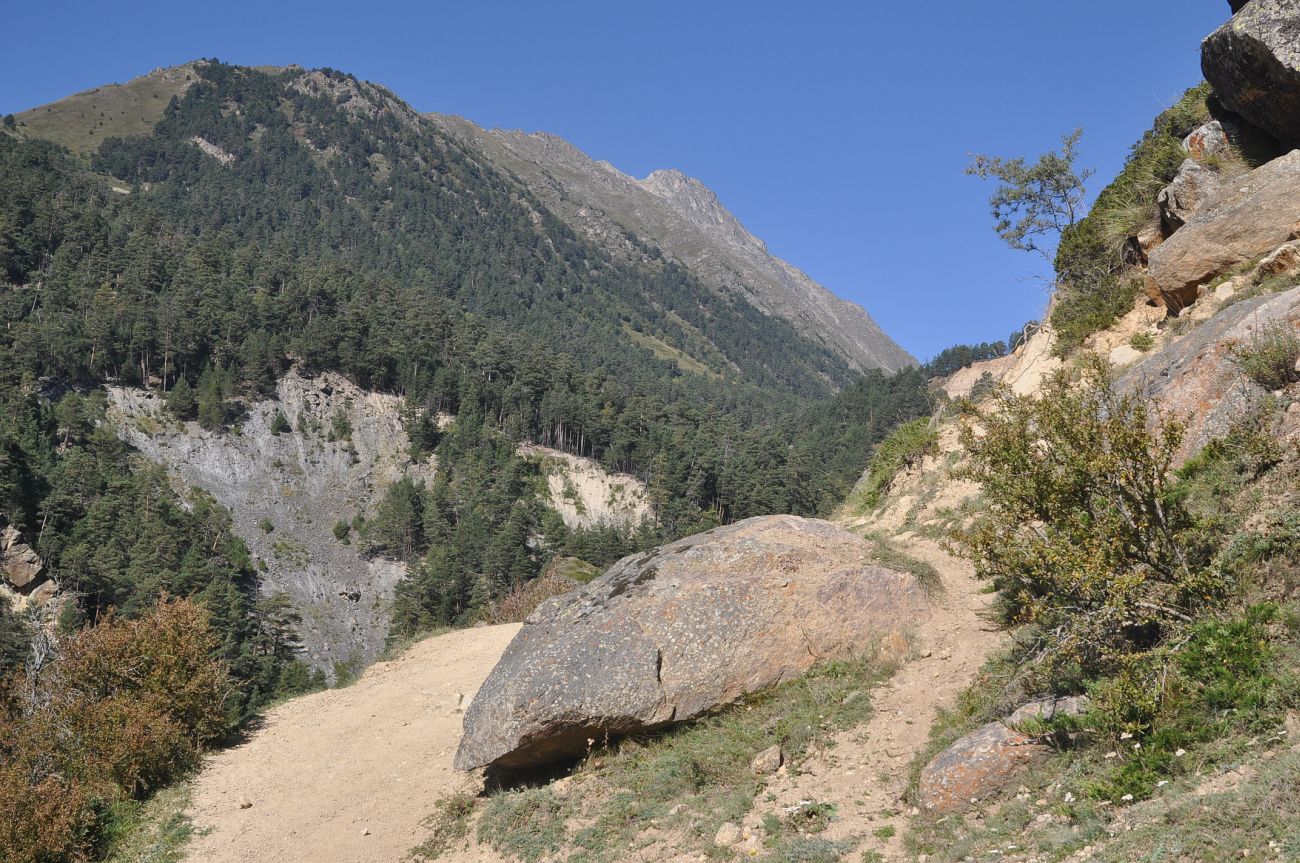 Долина реки Ирик, image of landscape/habitat.