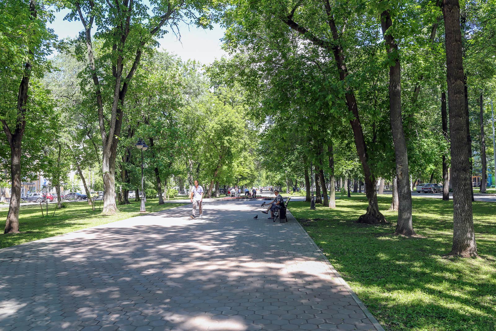 Центр Перми, image of landscape/habitat.