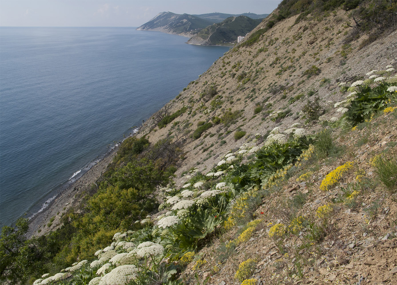 Большой Утриш, гора Солдатская, image of landscape/habitat.