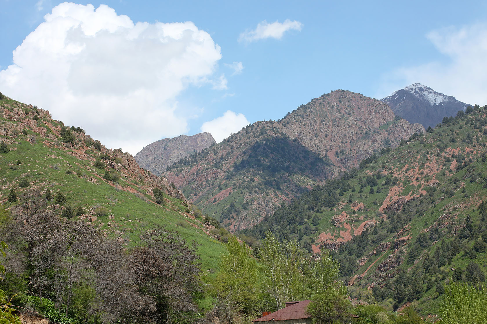 Окрестности города Янгиабад, image of landscape/habitat.