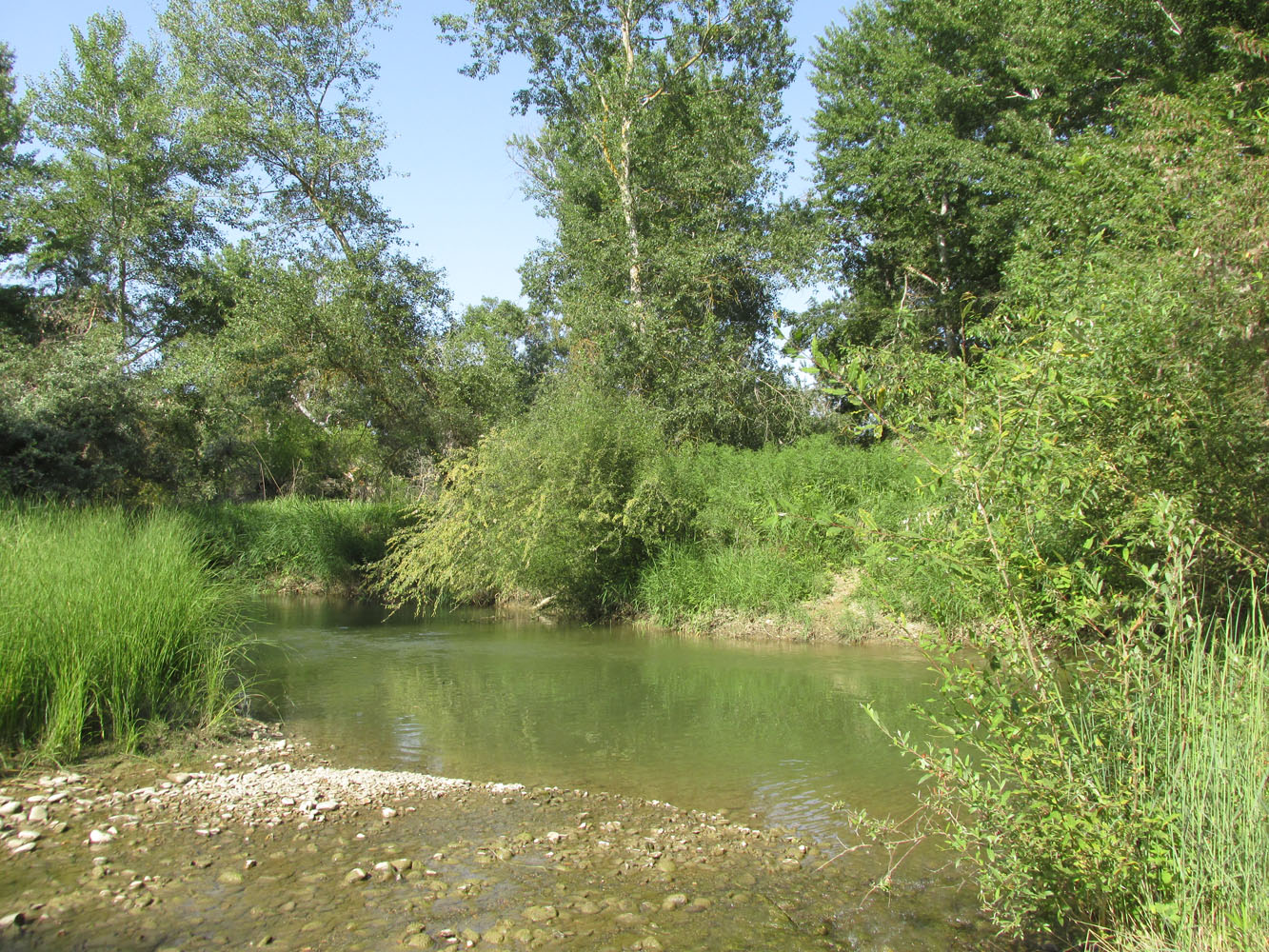 Долина реки Рубас, image of landscape/habitat.