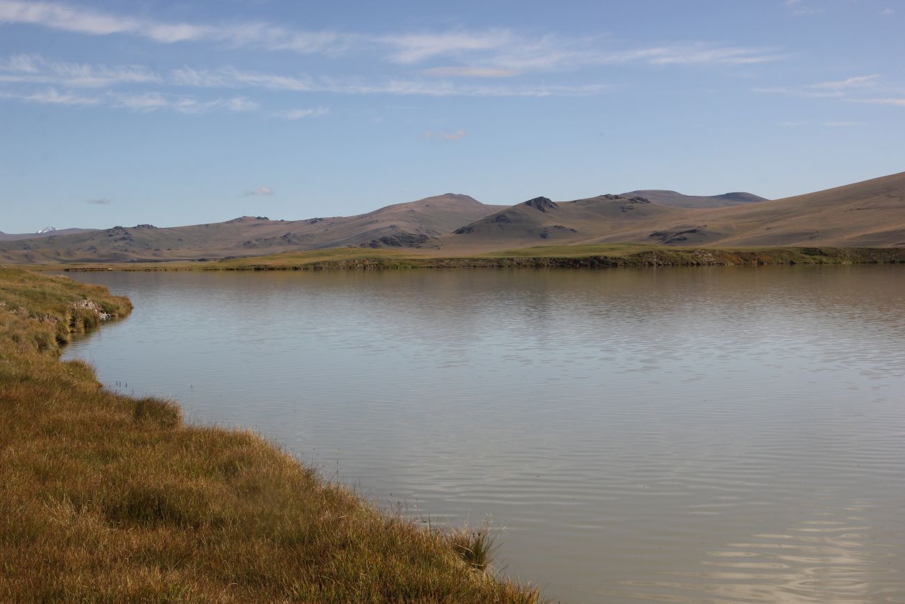 Окрестности Гусиного озера, image of landscape/habitat.