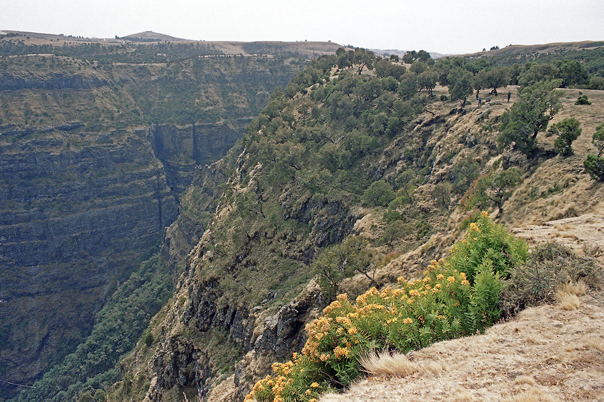 Горы Сымен, image of landscape/habitat.