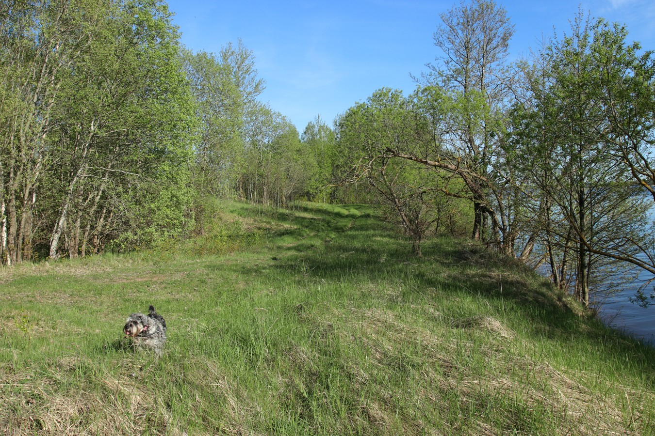 Окрестности Худоярово, image of landscape/habitat.