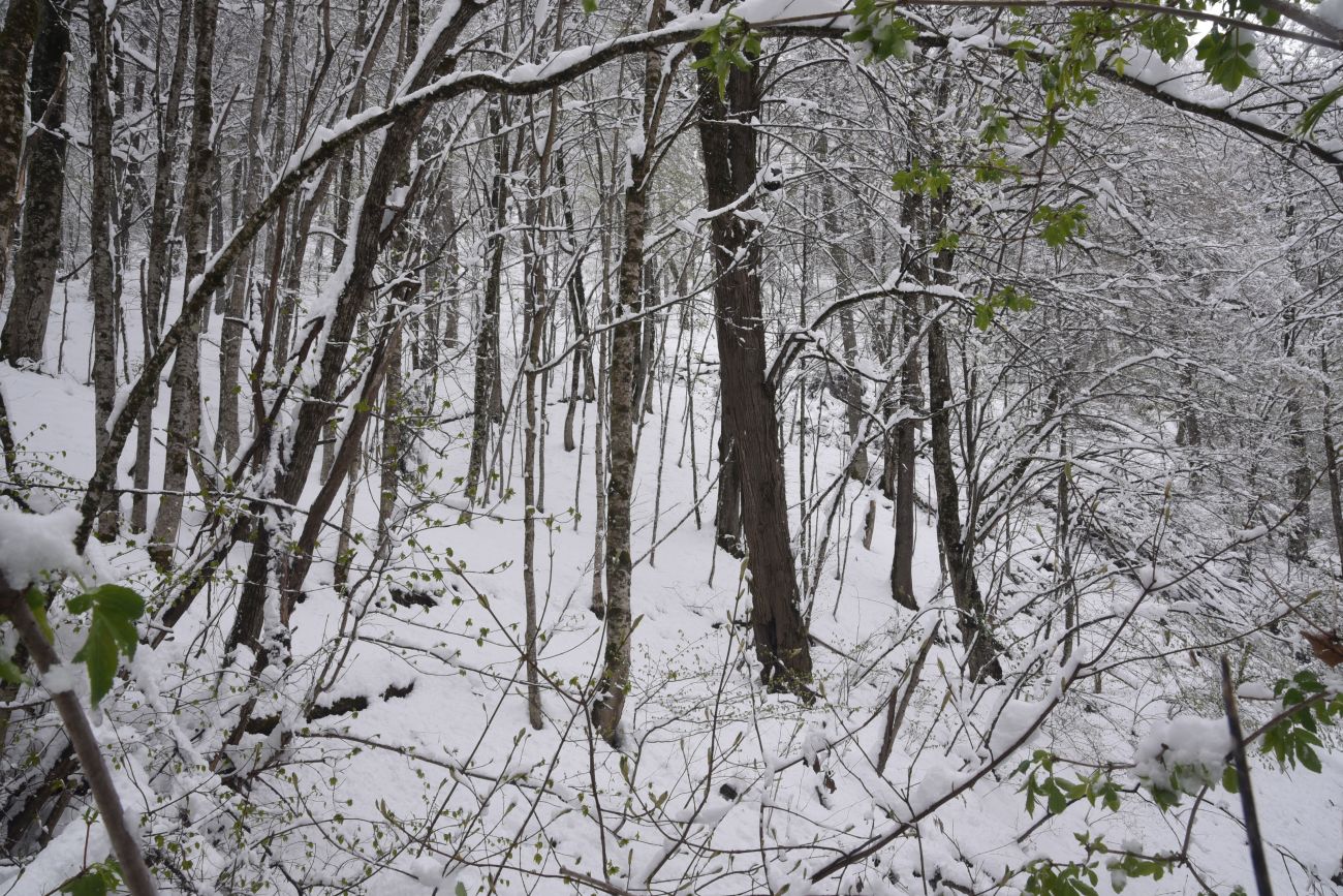 Вход перед штольней № 3, image of landscape/habitat.