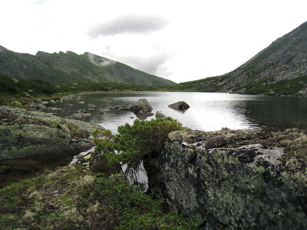 Хребет Дуссе-Алинь, image of landscape/habitat.