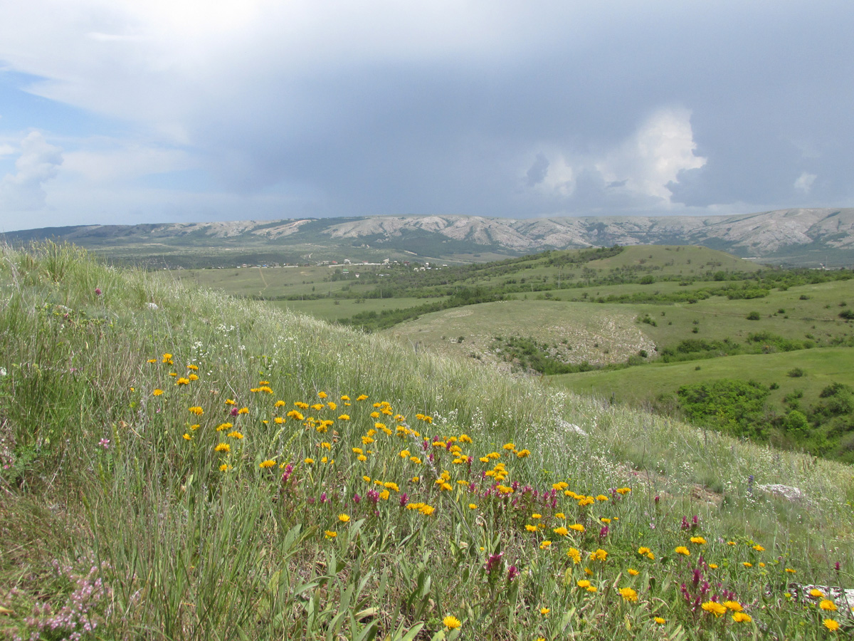 Урочище Аян, image of landscape/habitat.