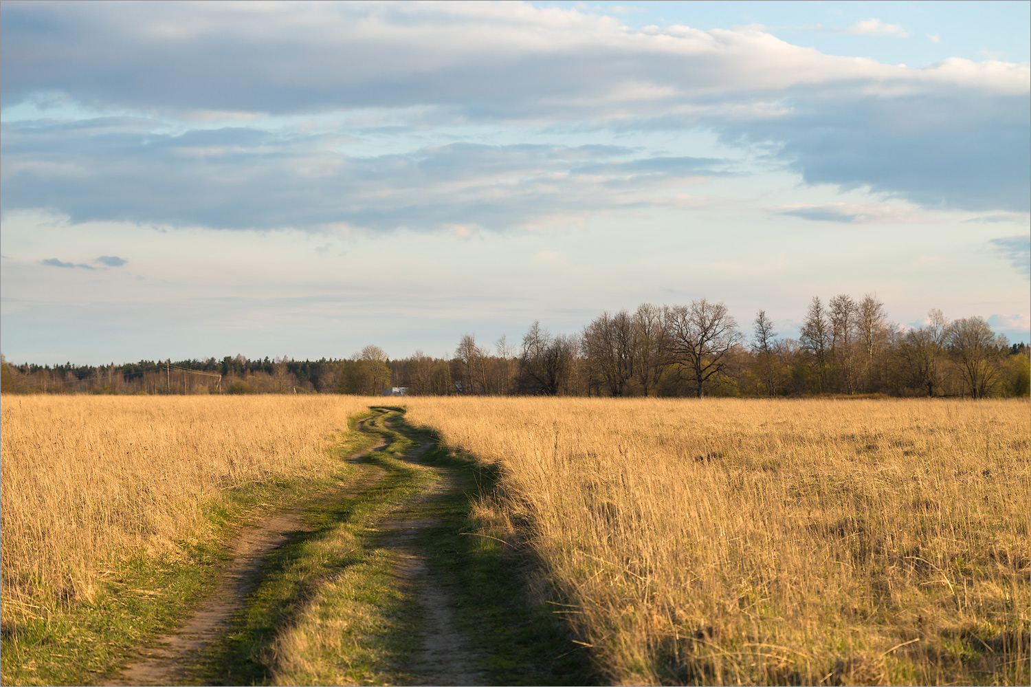 Нижняя Луга, image of landscape/habitat.