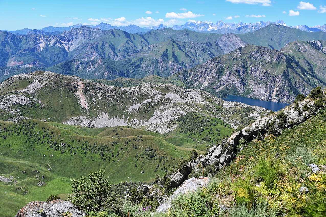 Перевал Кутурма, image of landscape/habitat.