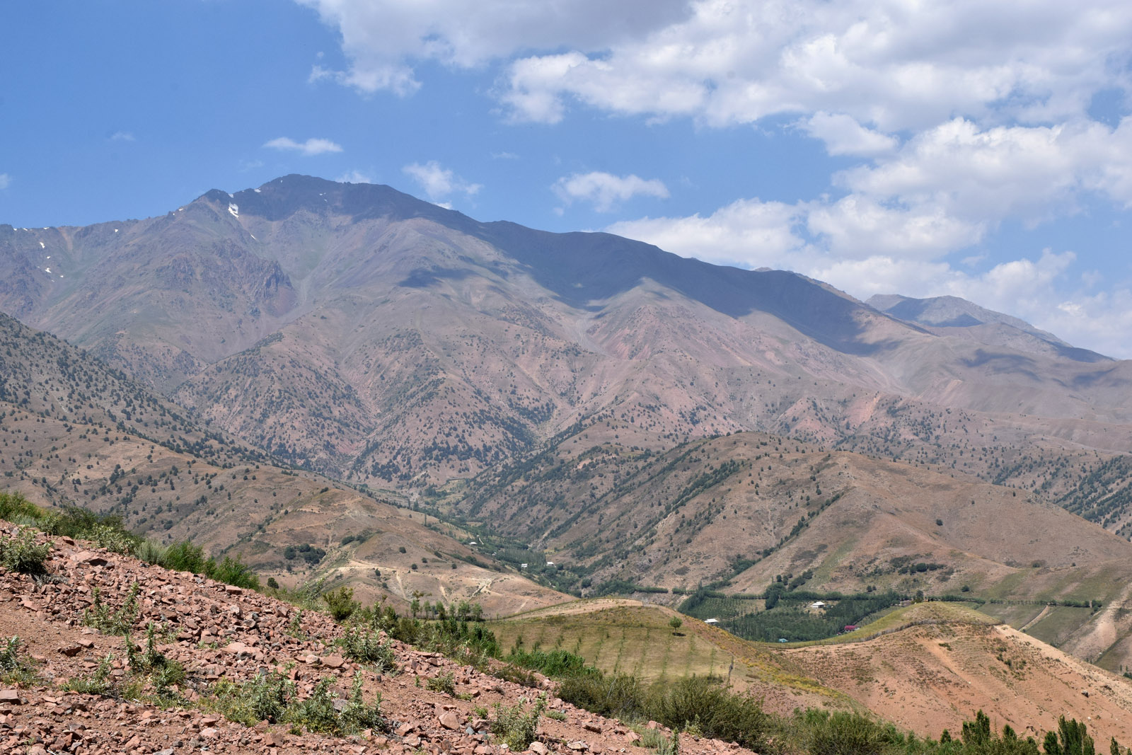 Кишлак Эрташ (Ertash), image of landscape/habitat.