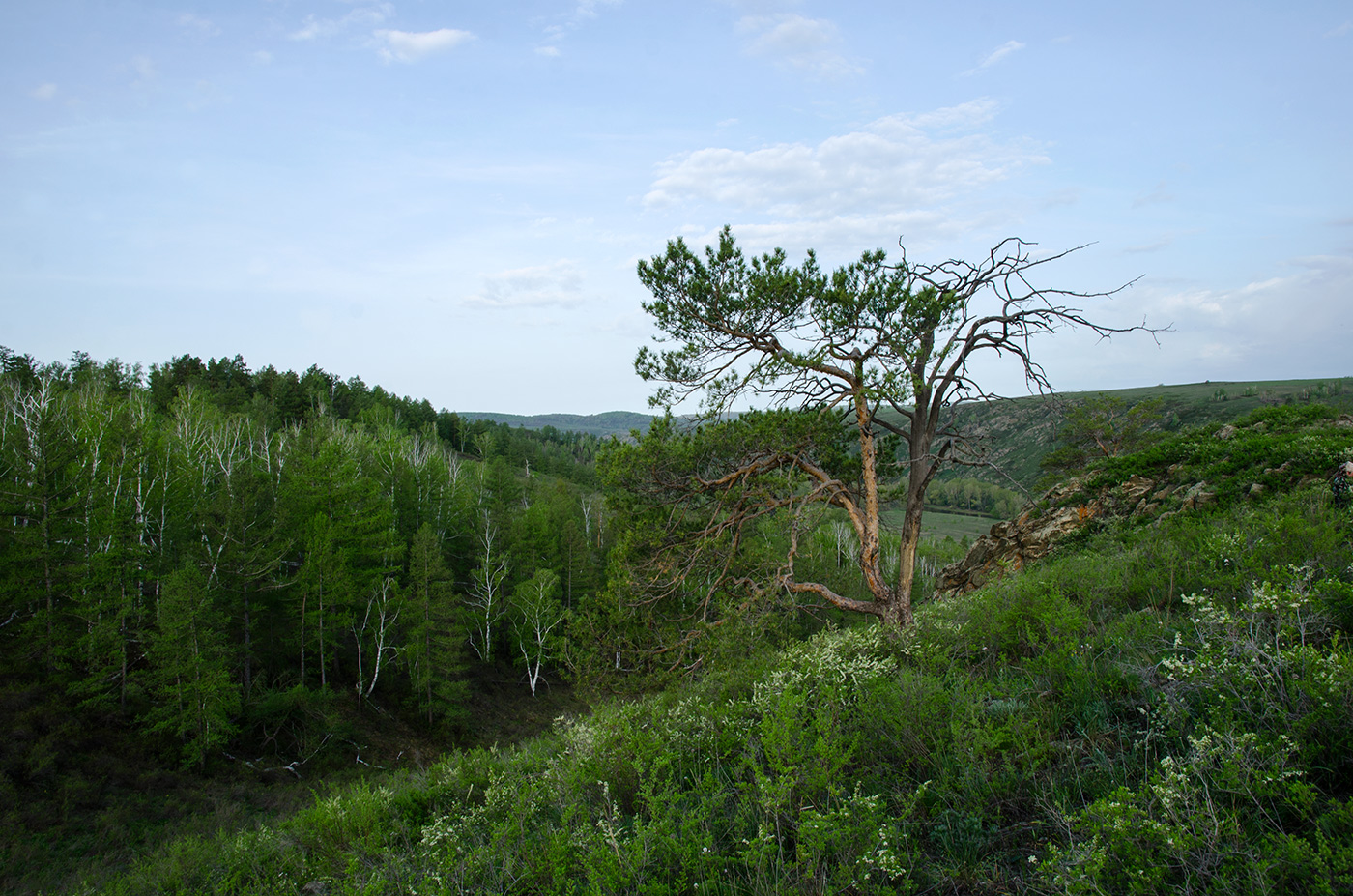 Акназарово и окрестности, image of landscape/habitat.