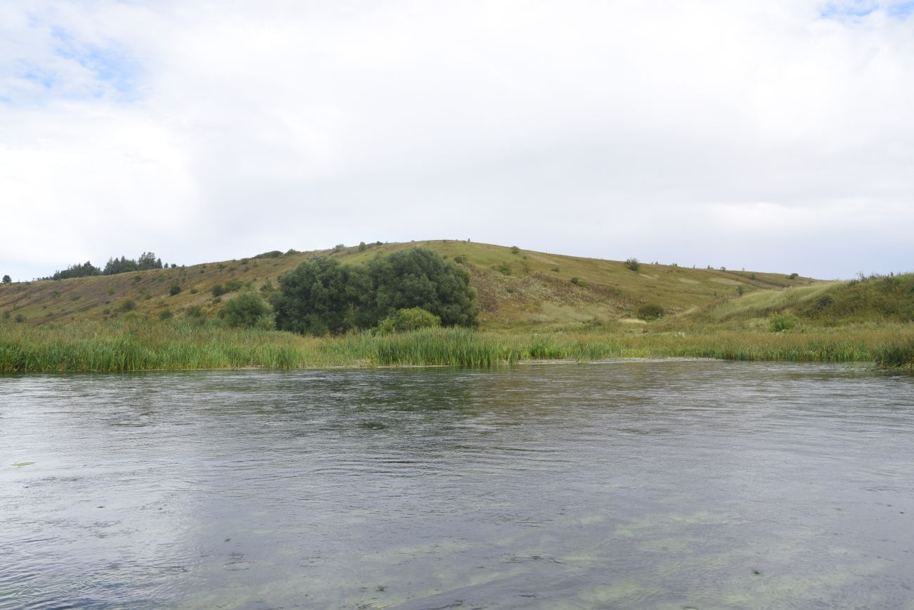 Ивановский овраг, image of landscape/habitat.