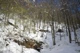 Image of landscape