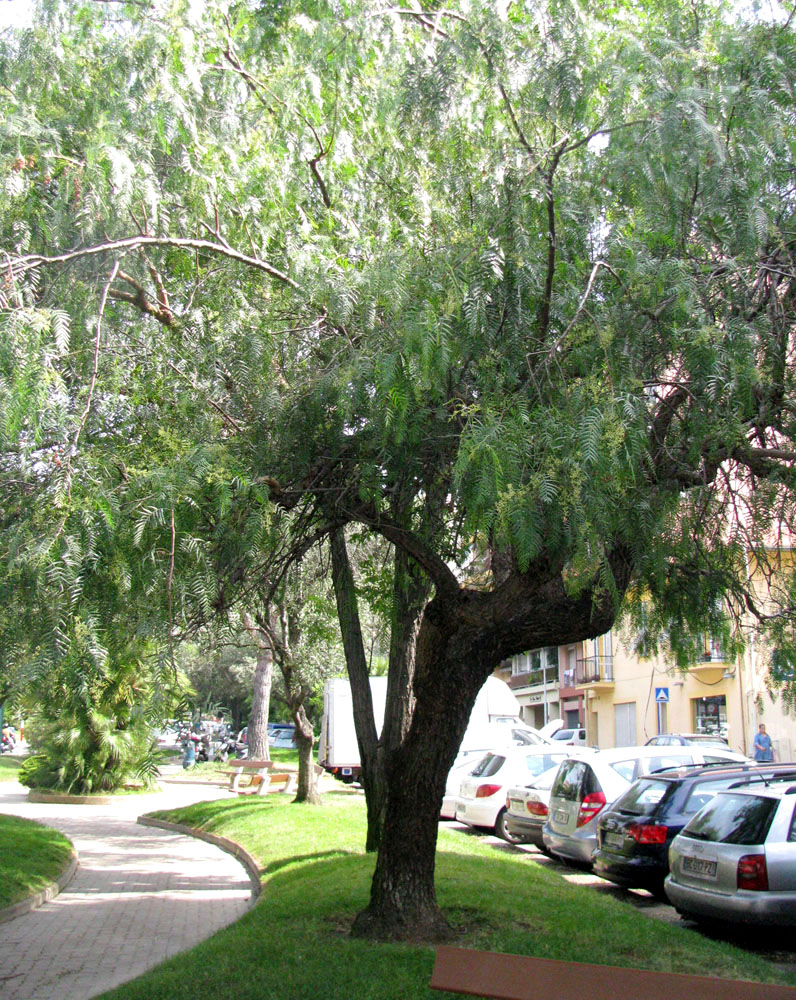 Ментона, image of landscape/habitat.