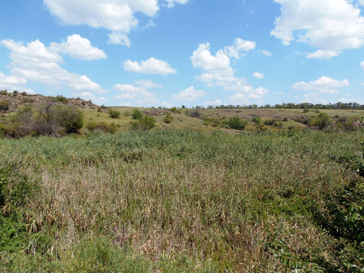 Токовские водопады, image of landscape/habitat.