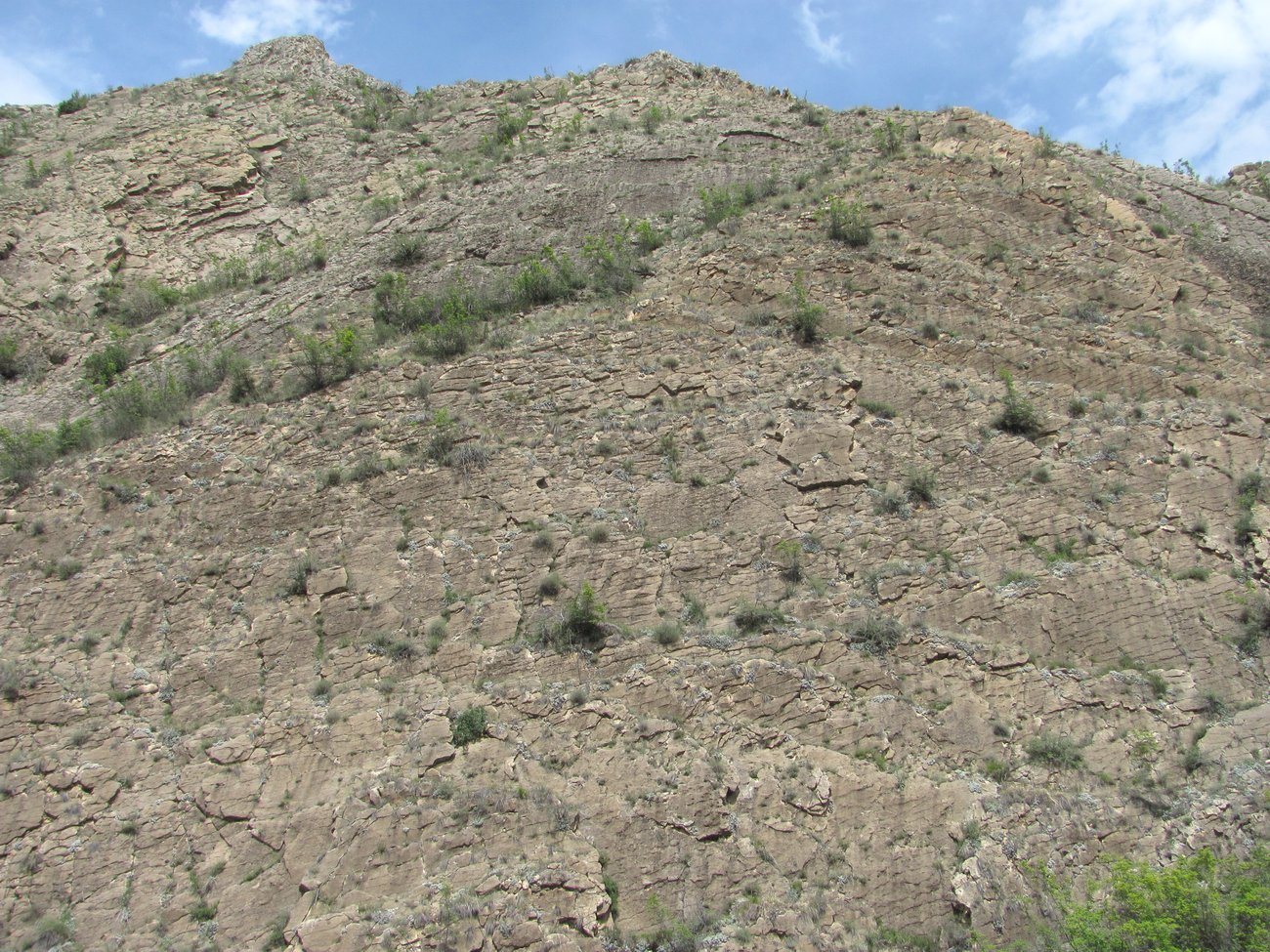 Гергебиль, image of landscape/habitat.