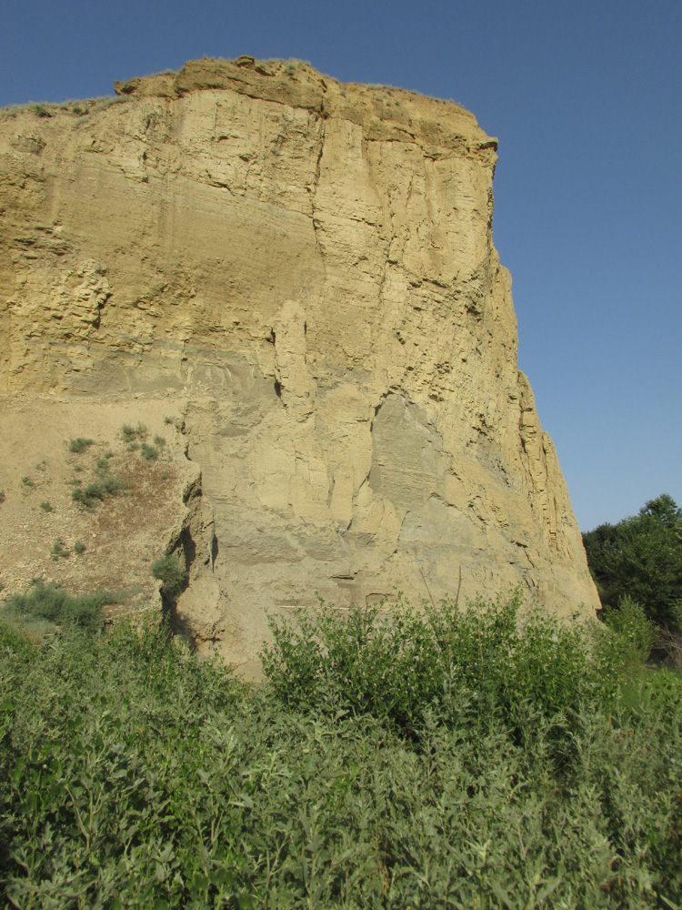 Долина реки Рубас, image of landscape/habitat.