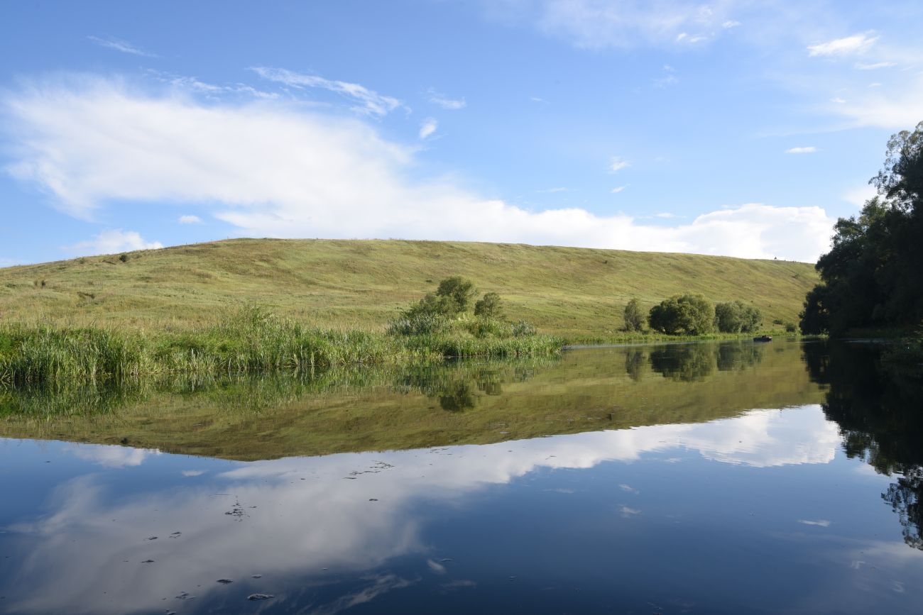 Ивановский овраг, image of landscape/habitat.