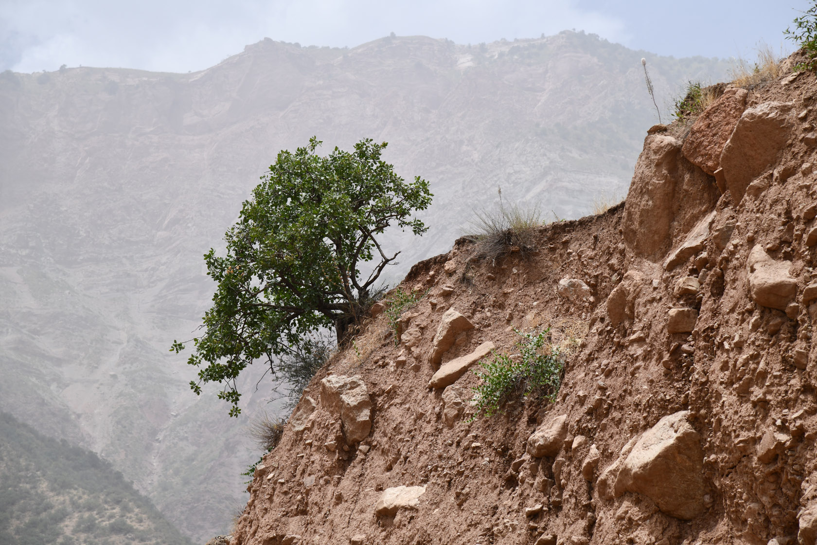 Шуроабад, image of landscape/habitat.