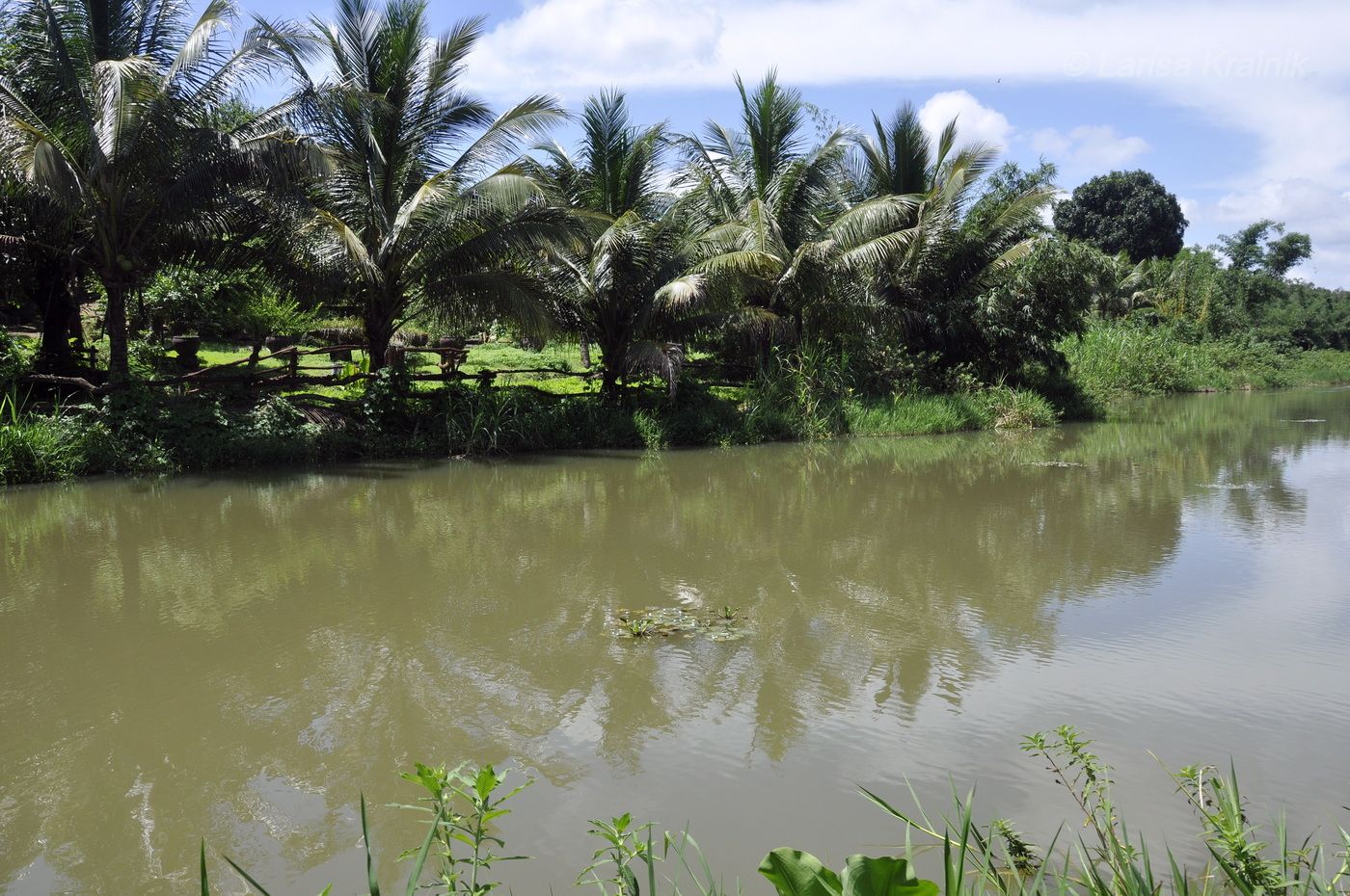 Буонметхуот, image of landscape/habitat.