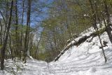 Image of landscape