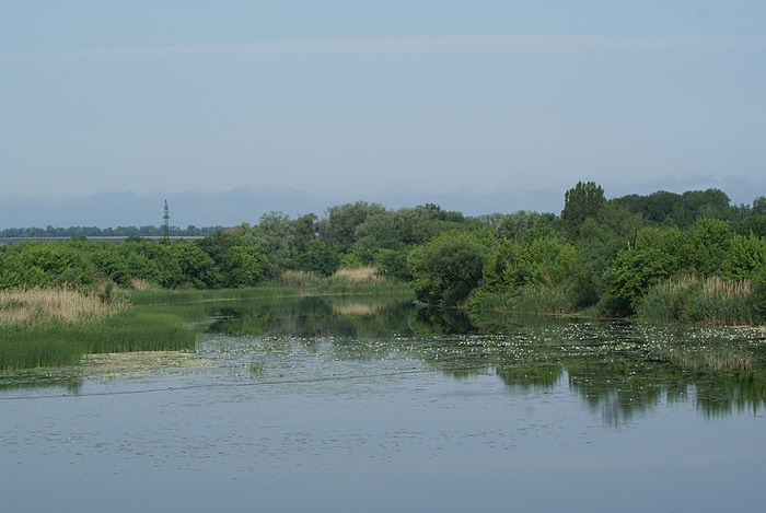 Некрылово, image of landscape/habitat.