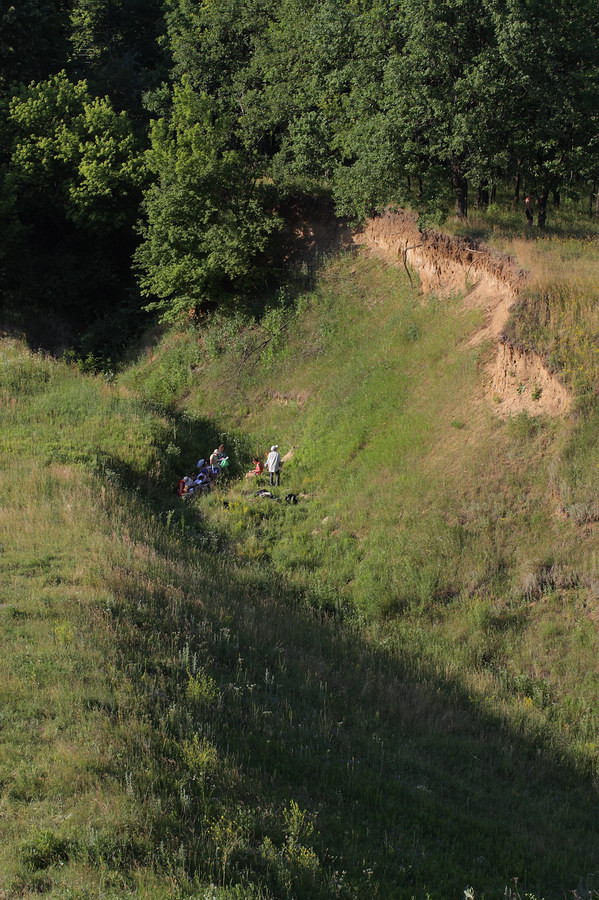 Окрестности Борисовки, image of landscape/habitat.